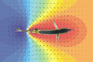 CEDAR electric sensing technology