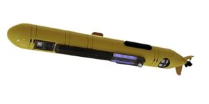 Combined AUV imaging & laser scanning payload