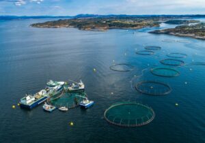 Iridium for Commercial Fisheries