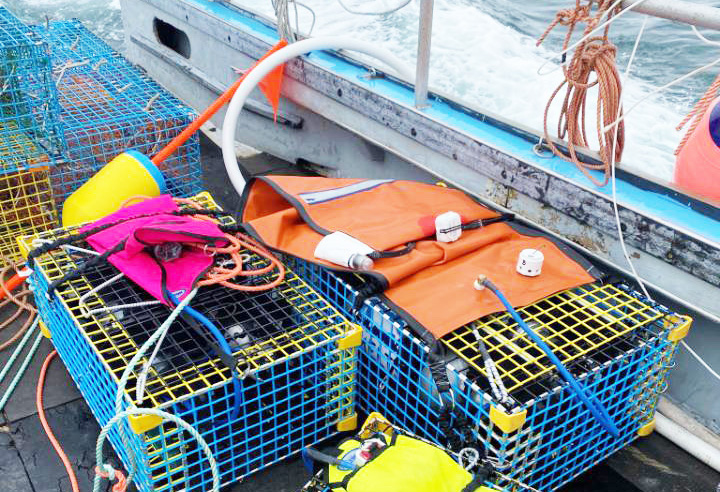 Teledyne Marine Launch its Latest Tech at Oceanology International 2024