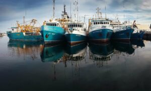 3D Sonar for Fisheries and Commercial Vessels