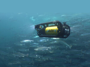 Boxfish Robotics