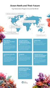 Coral Reef Restoration Organisations