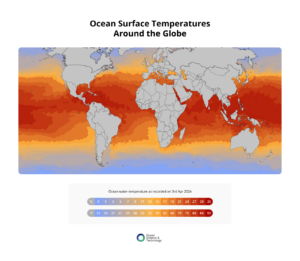 infographic 2 – Ocean Surface Temperatures Around the Globe