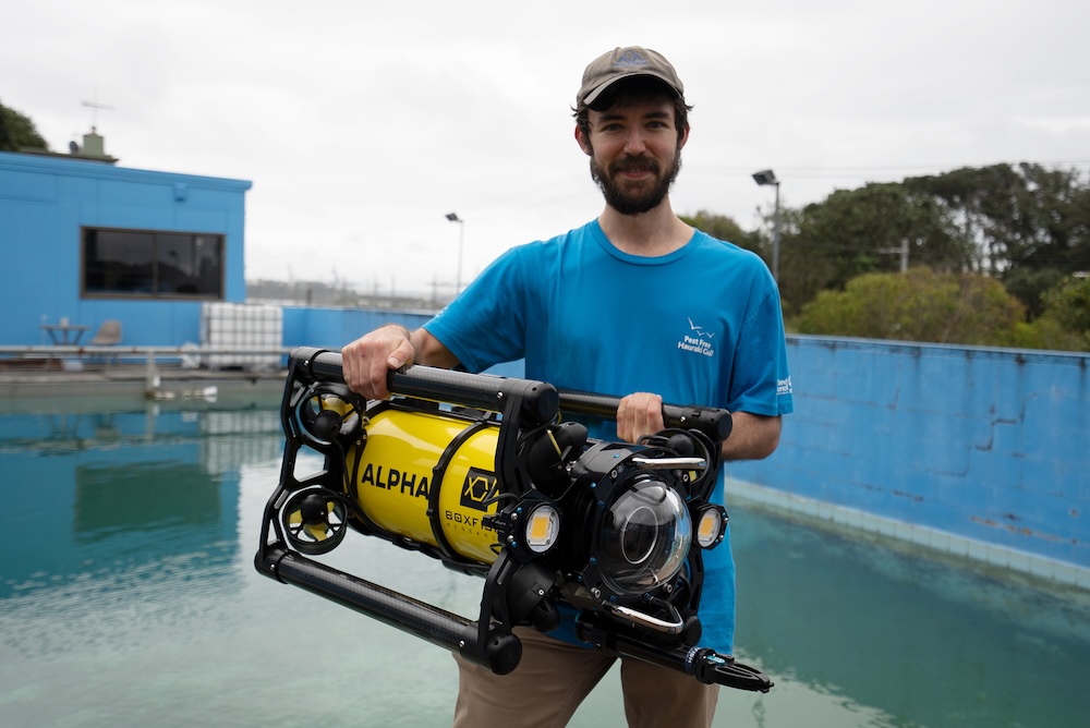 Reliable workhorse ROV
