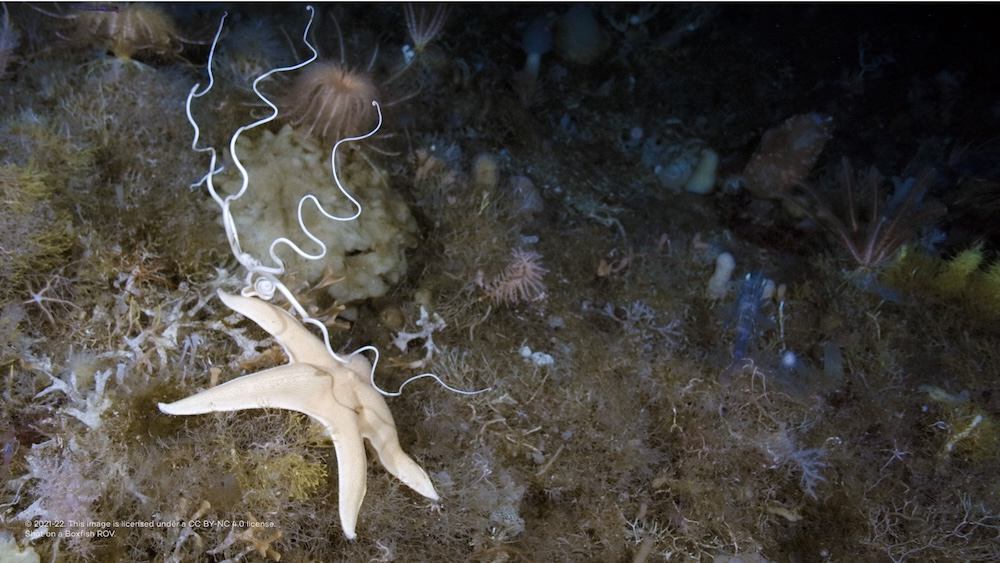 marine science
