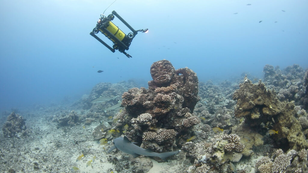 Underwater Autonomy
