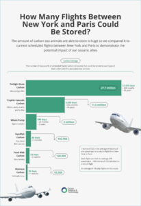 New York to Paris Flights Carbon Comparison