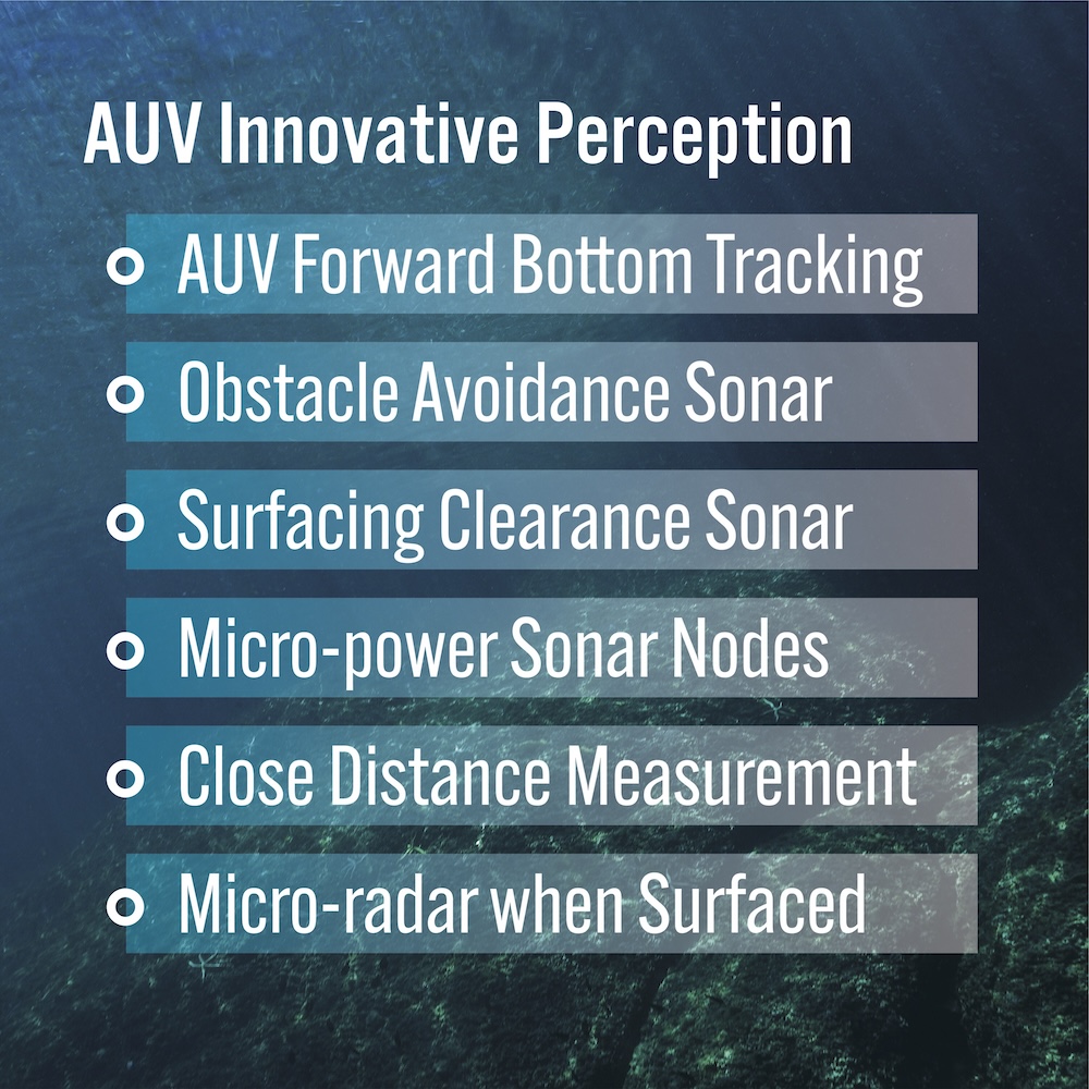AUV Innovative Perception