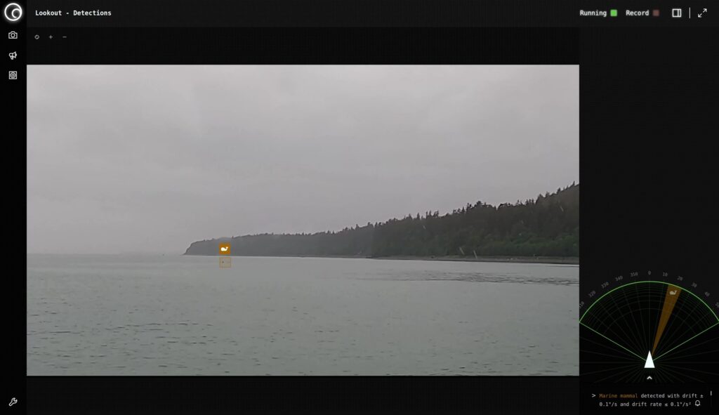 Marine Mammal Detection