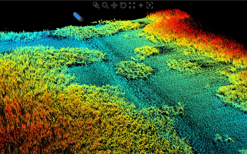 Seagrass Mapping
