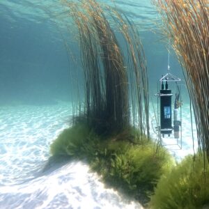 Dissolved Gas Sensors for Oceanography