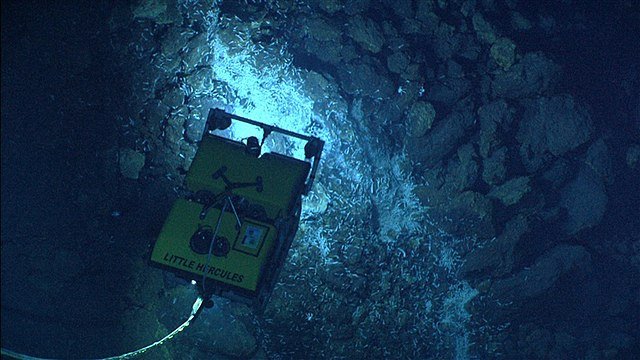 Integrating Rayfin Cameras & ROV
