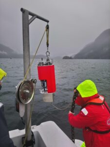 Subsea Sentinel