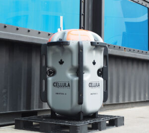 Subsea Warden AUV