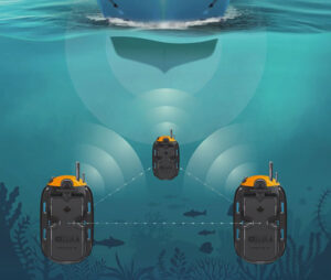 Subsea Warden AUV
