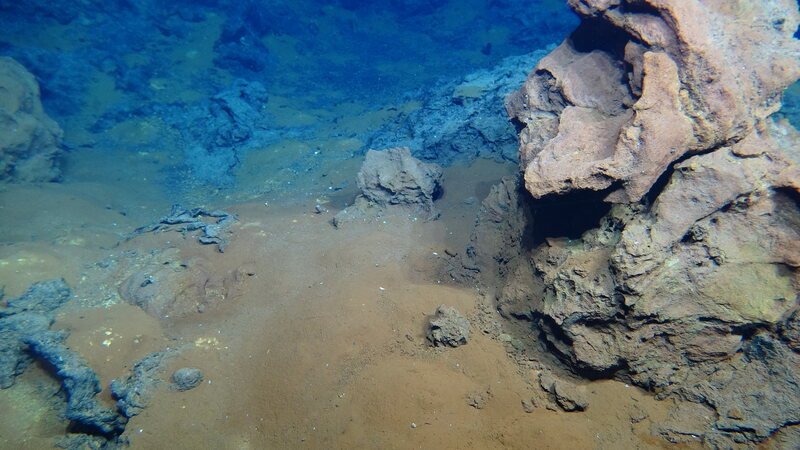 Enhancing Image Quality with Rayfin Micro Cameras