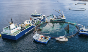 Automating Fishery Health Monitoring