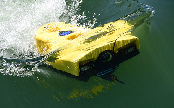 Pro 5 Underwater