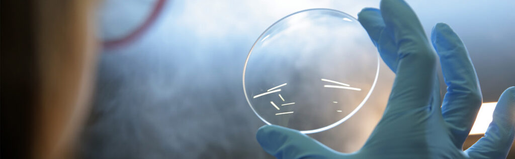 Custom Optical Solutions