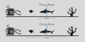 Understanding and Mastering Depth of Field in Deep Subsea Imagery