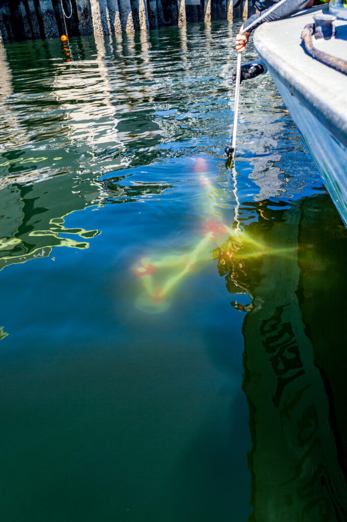 Ocean Sonics Hydrophone
