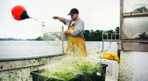 Coastal Ecosystem Monitoring & Mapping with GIS Technologies