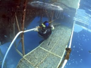 Exploring the Role of Acoustic Positioning Beacons in Subsea Applications