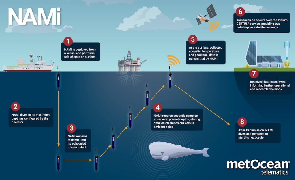 MetOcean NAMi Infographic MetOcean NAMi Infographic