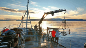 SubC Imaging Explores How Autonomous Subsea Cameras Are Reshaping Ocean Research copy