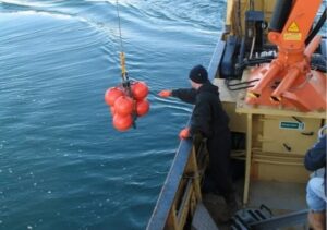 SubC Imaging Highlights Role of Offshore Surveys in Sustainable Fisheries Management 8
