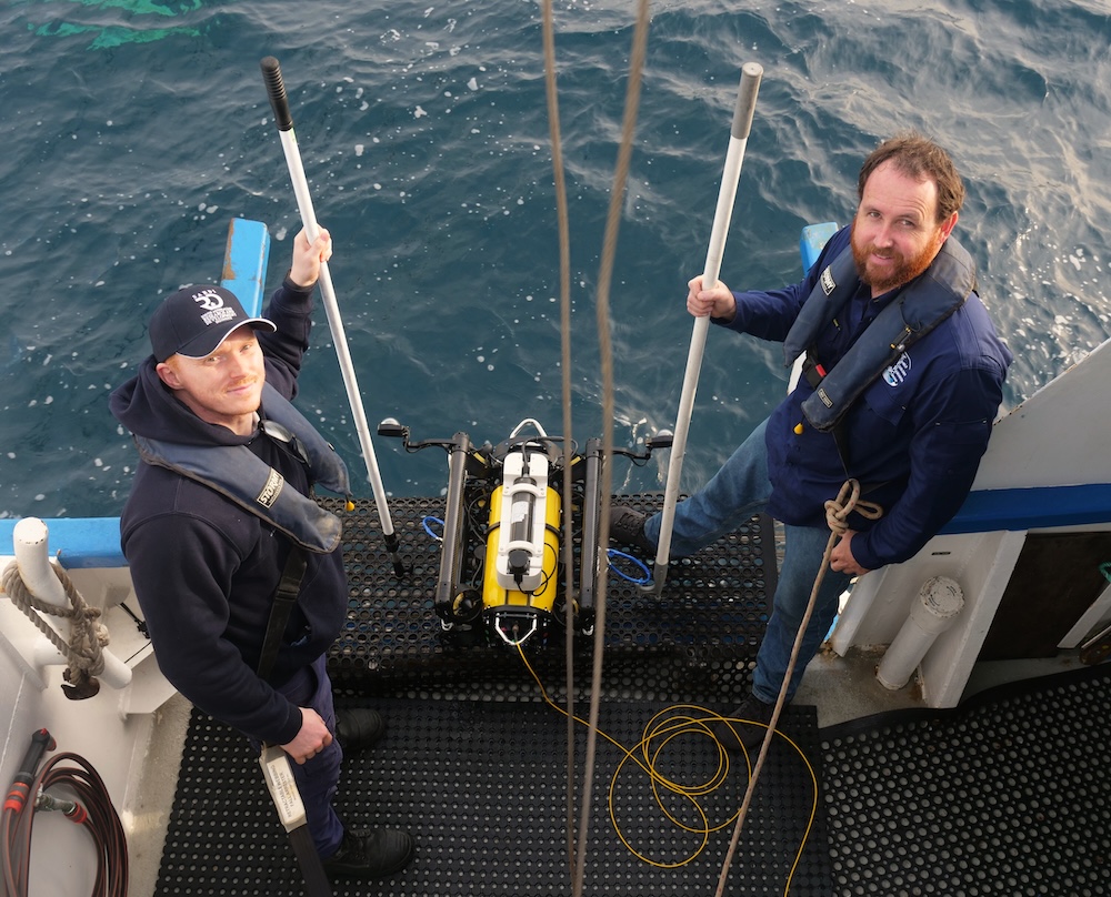 Boxfish ROV Captures Marine Research Footage for Upcoming Premiere 6