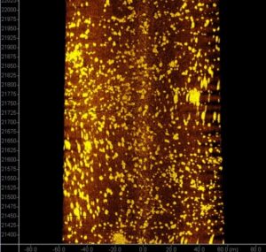 Teledyne Marine promuove la formazione applicata per i tecnologi marini emergenti