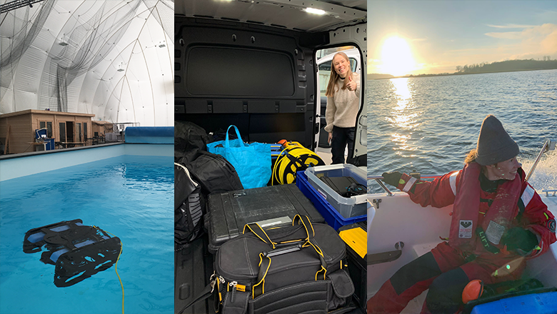 Automated ROV Surveys for Mapping & Assessing Biogenic Mussel Reefs