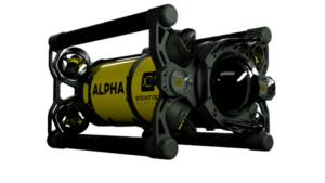 Boxfish Alpha