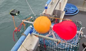 Ropeless Fishing for Aquaculture