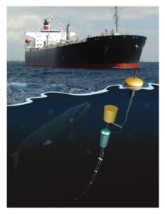 Marine Mammal Detection & Underwater Radiated Noise Management