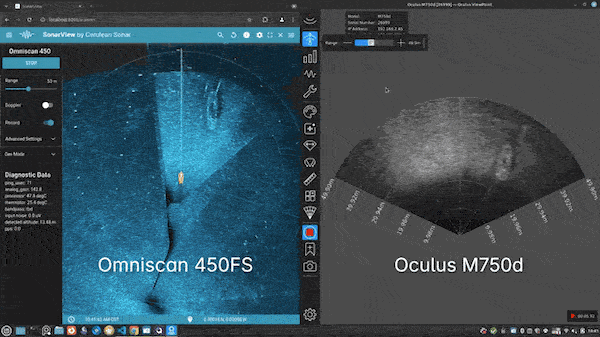 Cerulean Omniscan vs Oculus