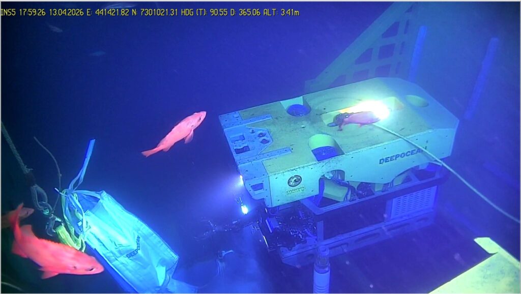 DeepOcean Completes Remote Subsea Milestone