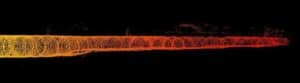 Sonar-Enabled Boxfish ROV Supports Tunnel Inspection 3