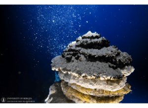 Supporting Deep-Sea Research Operations with SubC Imaging’s DVR+ Overlay