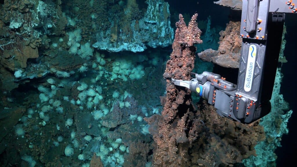 AUV Mission Supports Discovery of Atlantic Hydrothermal Vent Fields