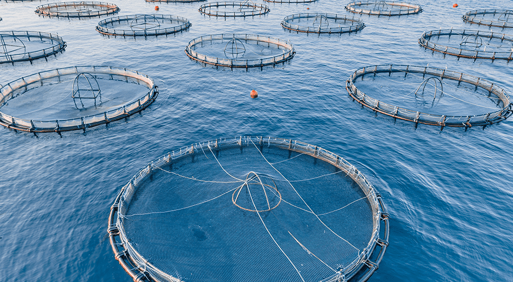 Chelsea Technologies Aquaculture