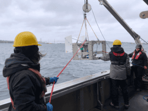 Subsea Imaging Technology Enhances Offshore Field Training