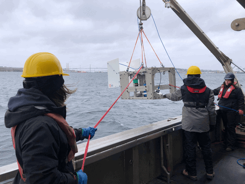 Subsea Imaging Technology Enhances Offshore Field Training
