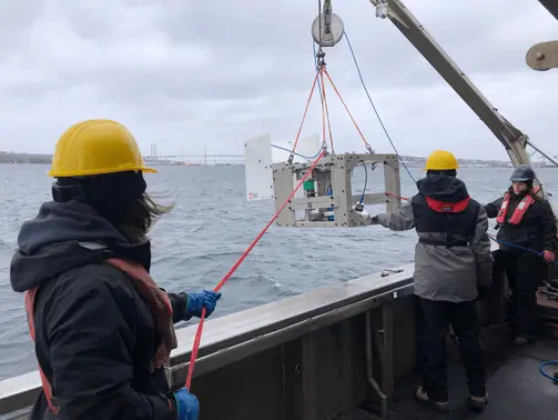 Subsea Imaging Technology Enhances Offshore Field Training
