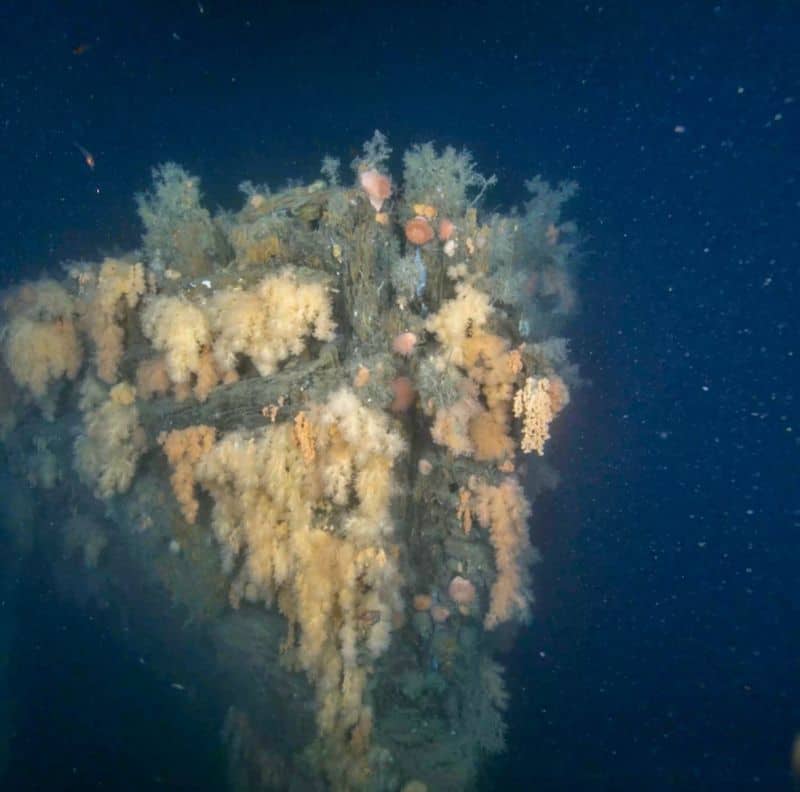 Subsea Photogrammetry Supports Digital Twin of Shackleton’s Quest Wreck