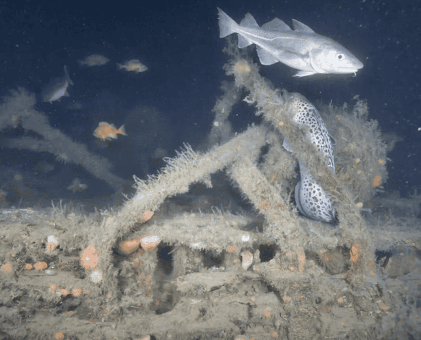 Subsea Photogrammetry Supports Digital Twin of Shackleton’s Quest Wreck