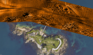 High-Resolution Sonar in Seagrass Mapping & Habitat Monitoring