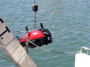 Autonomous Underwater Robotics & AI Systems Awarded for Ghost Gear Recovery